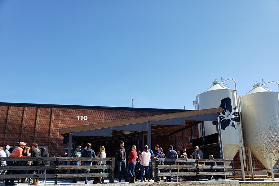 View of the Patio from The Garden.